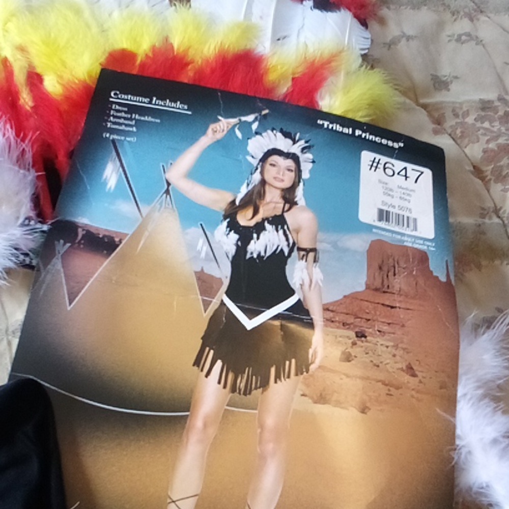 American Indian Costume -  Extra, &  Cool Headresses Short Fringed Black Dress